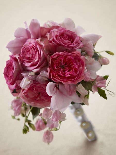Pink size,  inches height and  inches wide.